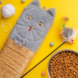 Cat Supplies